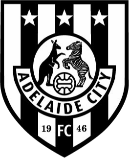 https://img.usants.com/img/football/team/c53c8f45736002b26511570a746b6b64.png